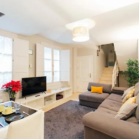 Wide With Terrace- 2bd 1bth- Santa Cruz Seville